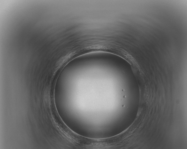 X0000059840482200510281828