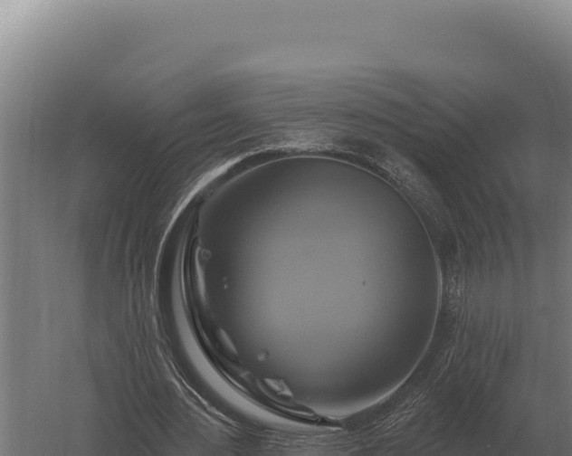 X0000059840484200510281828