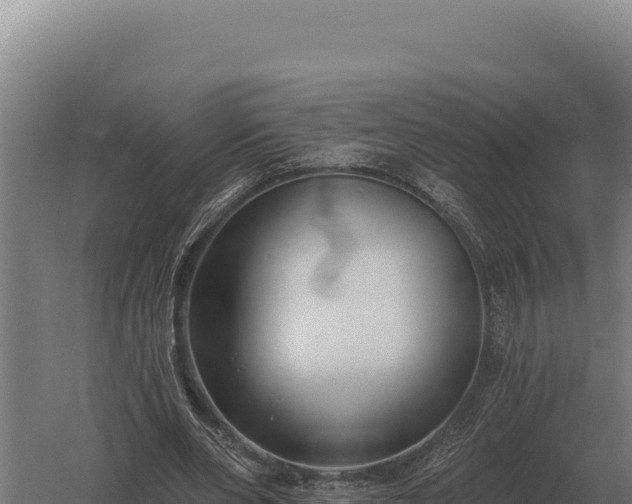 X0000059840486200510281828