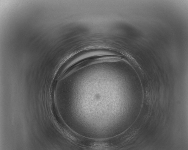 X0000059840487200510281828