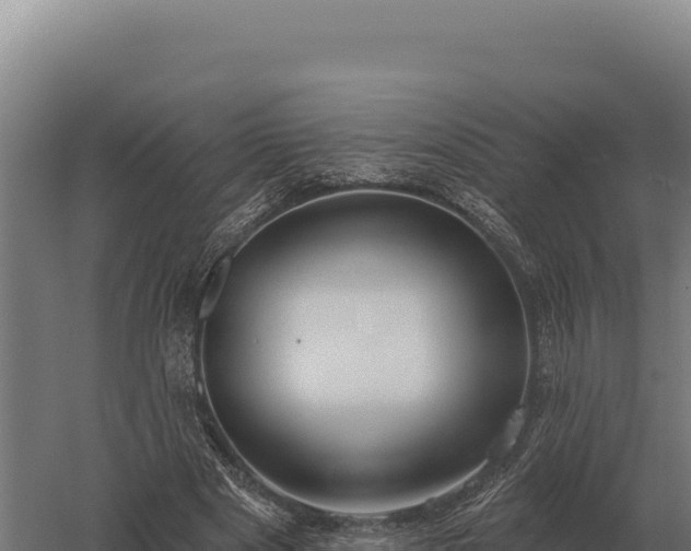 X0000059840489200510281828