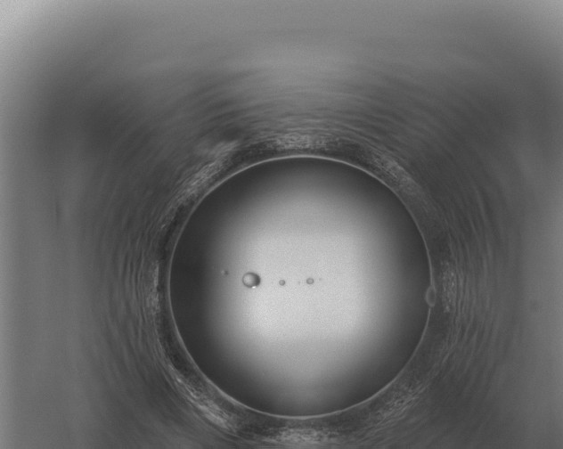 X0000059840490200510281828