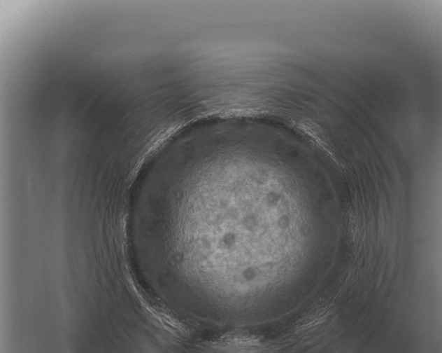 X0000059840491200510281828