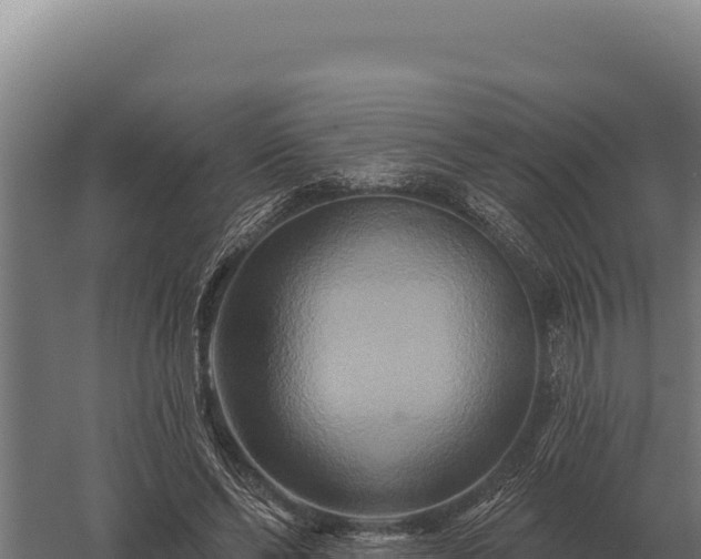 X0000059840494200510281828