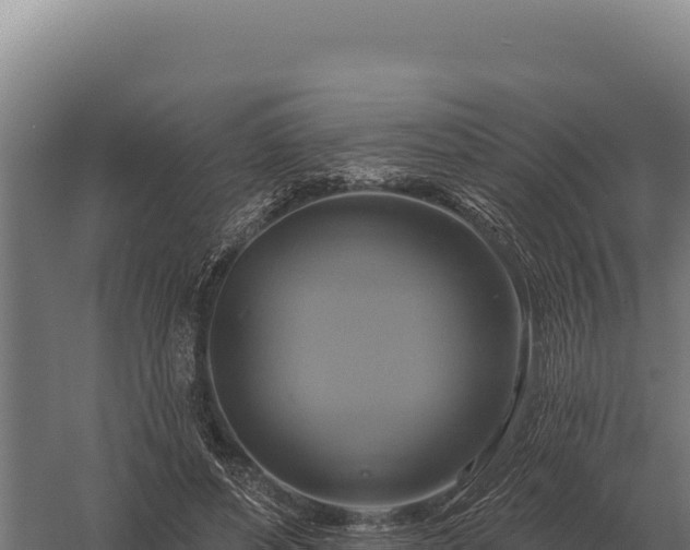 X0000059840496200510281828