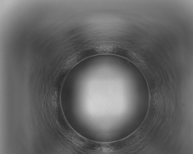 X0000059840498200510281828