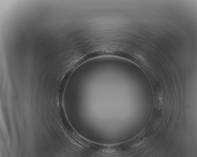 X0000059840500200510281828