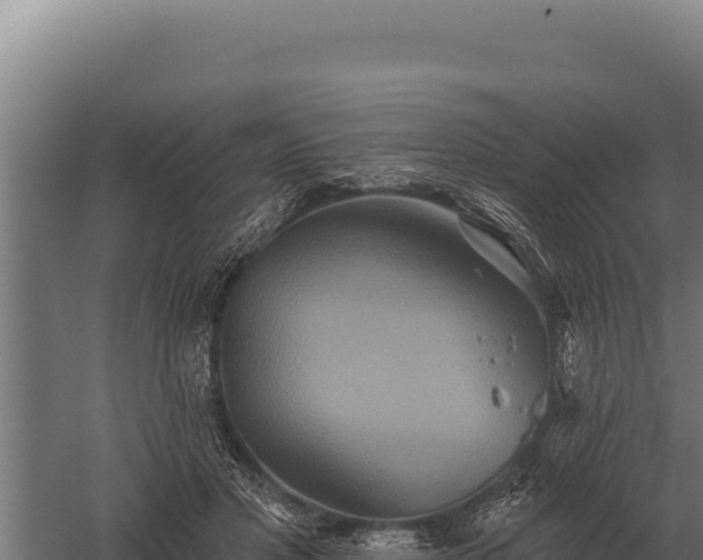 X0000059840501200510281828