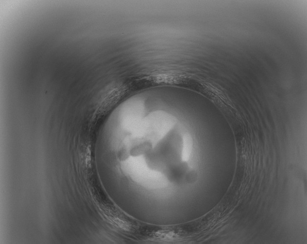 X0000059840502200510281828