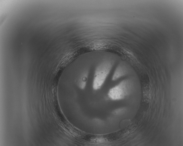 X0000059840503200510281828