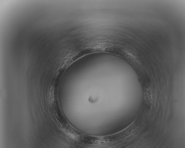 X0000059840504200510281828