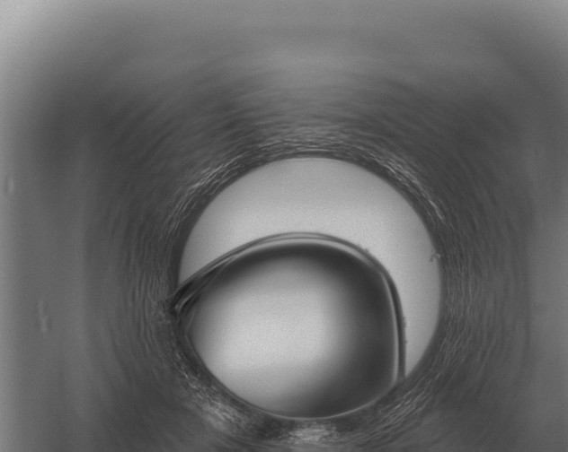 X0000059840505200510281828