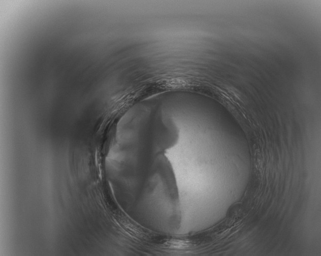 X0000059840507200510281828