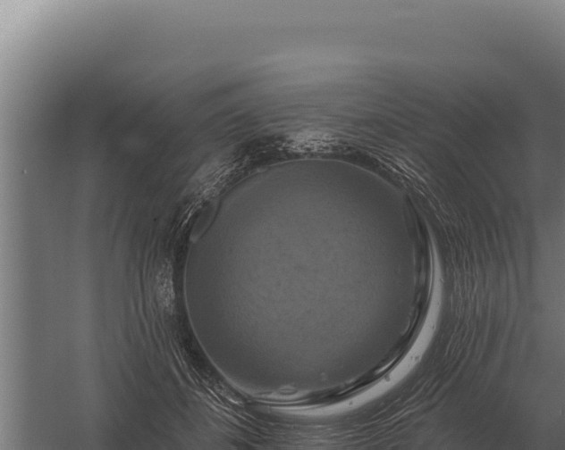 X0000059840508200510281828