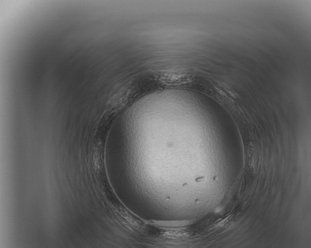 X0000059840515200510281828