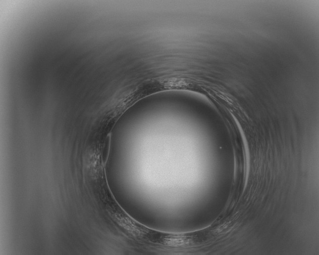 X0000059840521200510281828