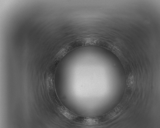 X0000059840522200510281828