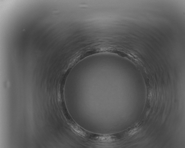 X0000059840524200510281827