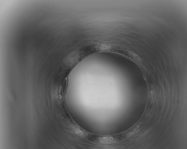 X0000059840525200510281827