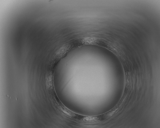 X0000059840526200510281827