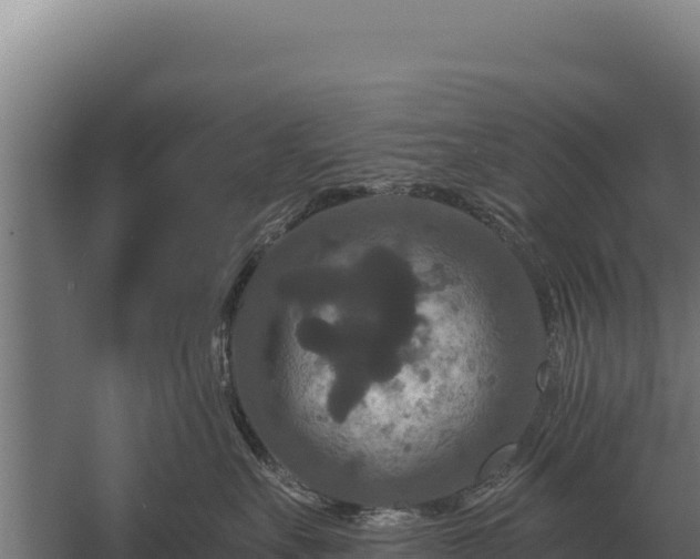 X0000059840527200510281827