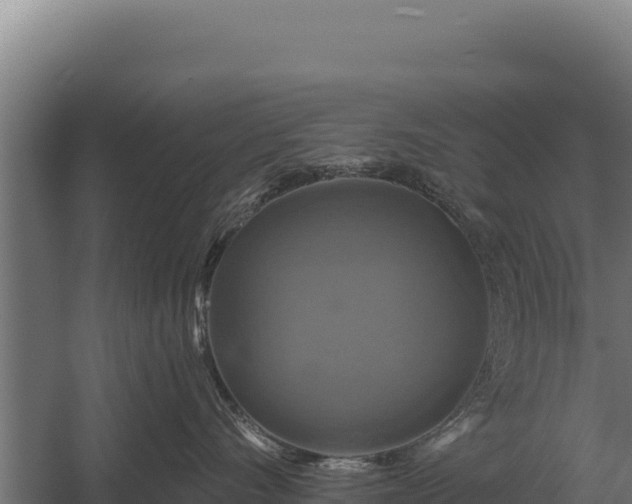 X0000059840528200510281827