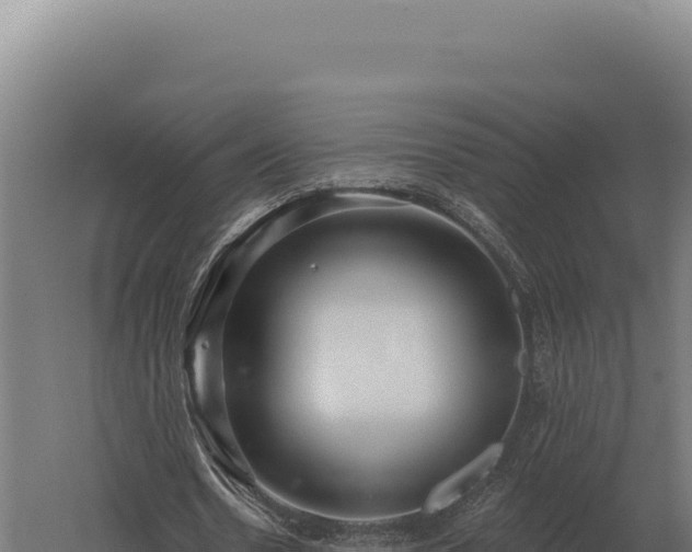 X0000059840530200510281827