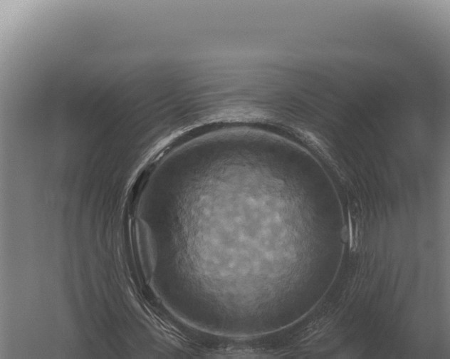 X0000059840531200510281827