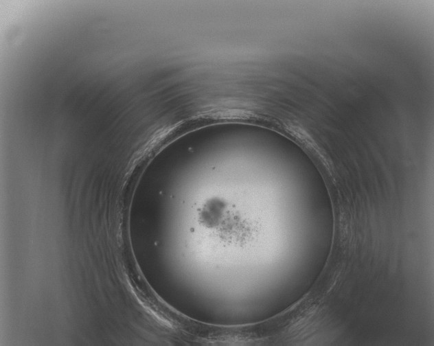 X0000059840533200510281827