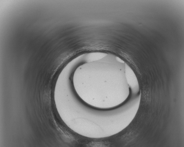 X0000059840534200510281827