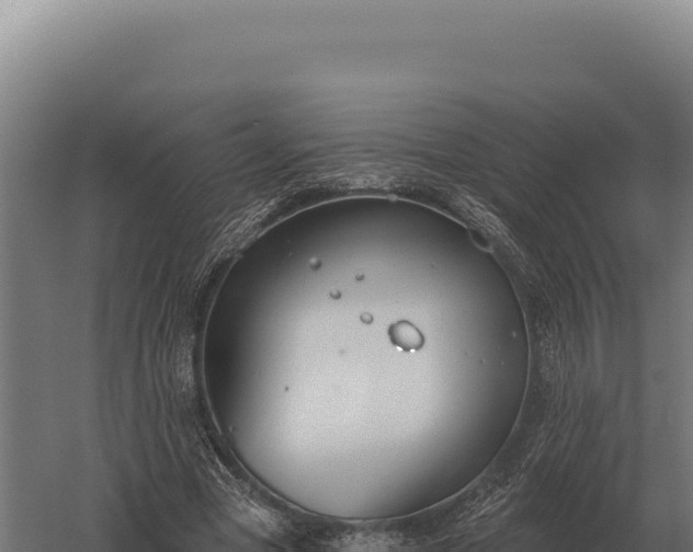 X0000059840537200510281827