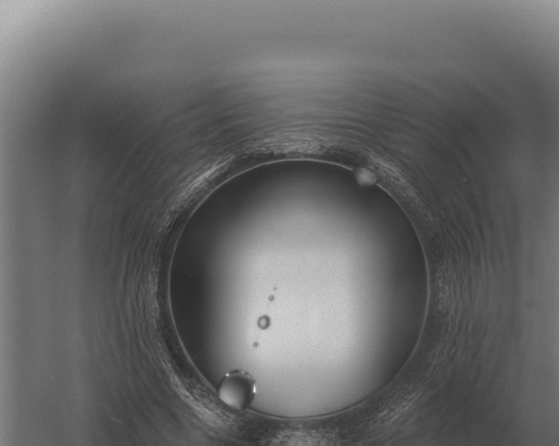 X0000059840538200510281827