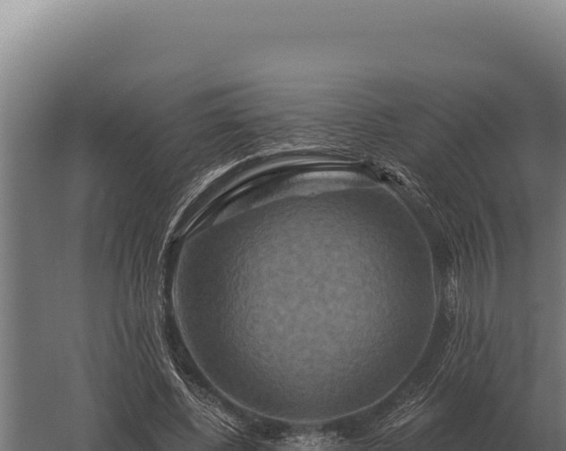 X0000059840540200510281827