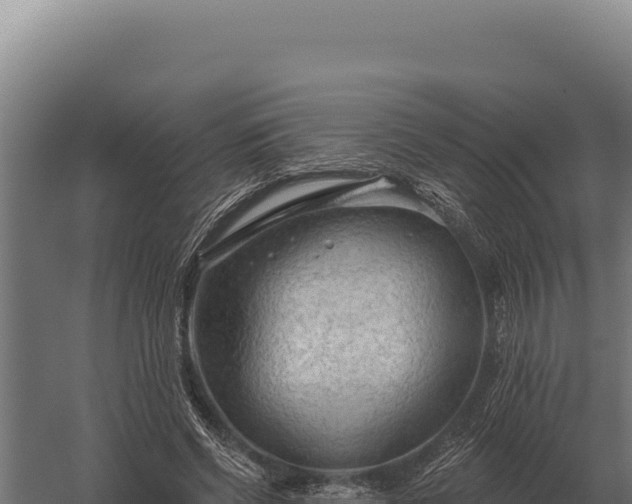 X0000059840542200510281827