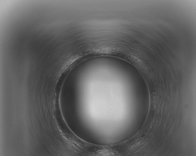 X0000059840544200510281827