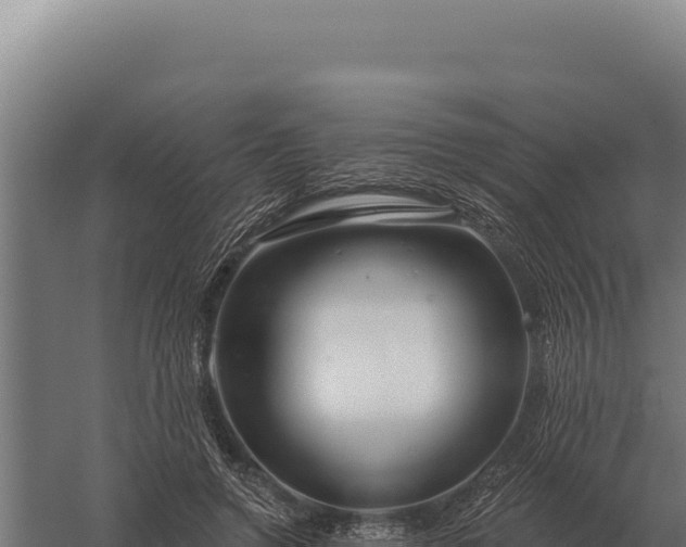 X0000059840546200510281827