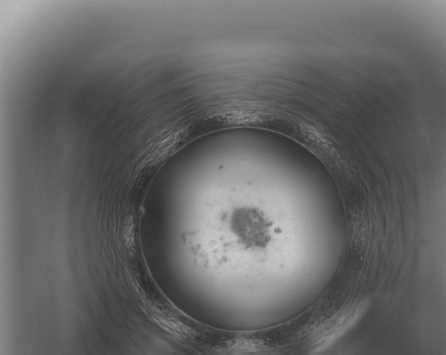 X0000059840549200510281827