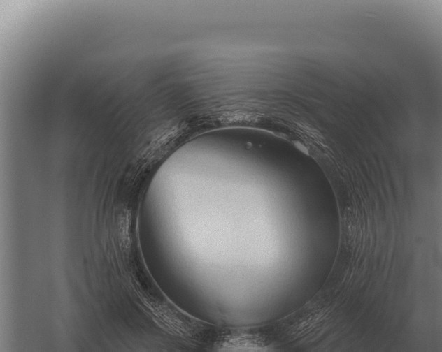 X0000059840550200510281827