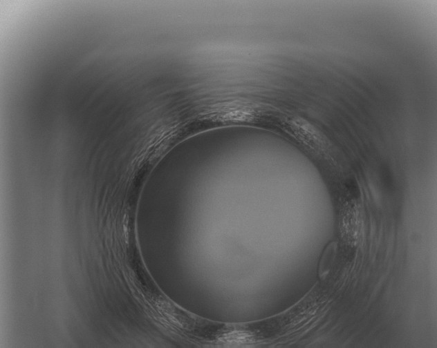 X0000059840551200510281827