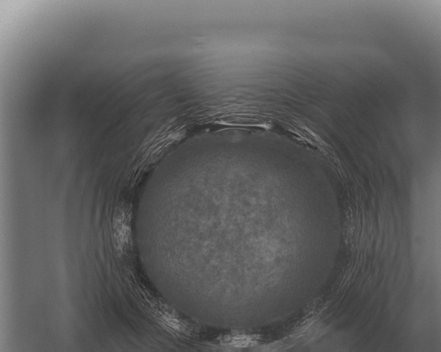 X0000059840553200510281827