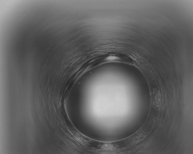 X0000059840562200510281827