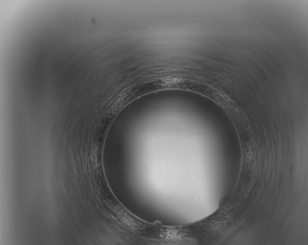 X0000059840565200510281827