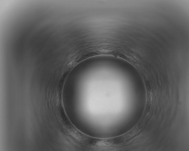 X0000059840568200510281827