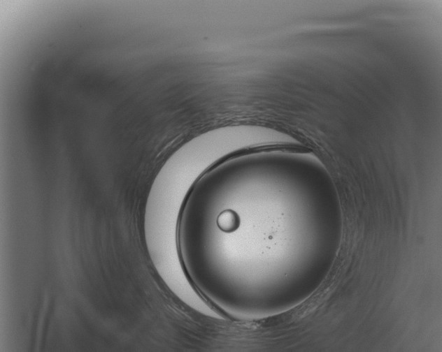 X0000059840576200510281827