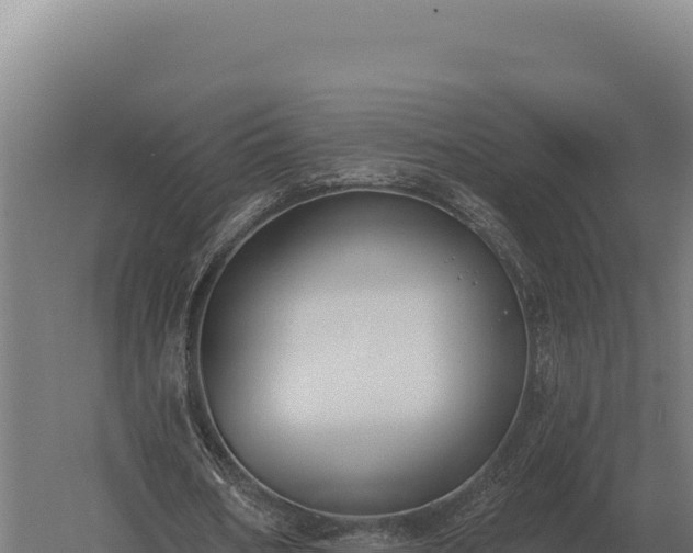 X0000059840578200510281827