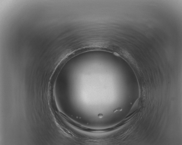 X0000059840580200510281827