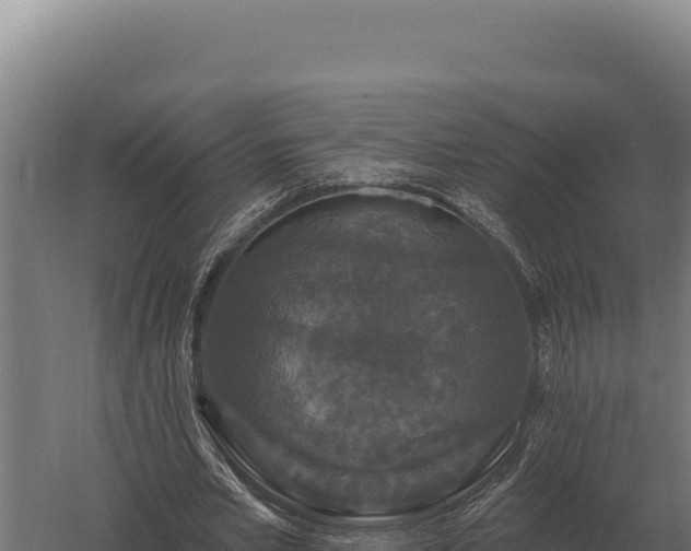 X0000059840581200510281827