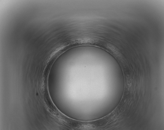 X0000059840583200510281826