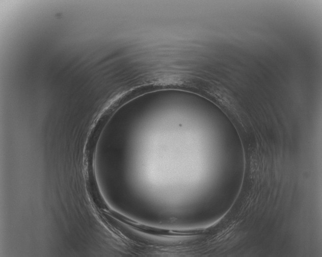 X0000059840584200510281826