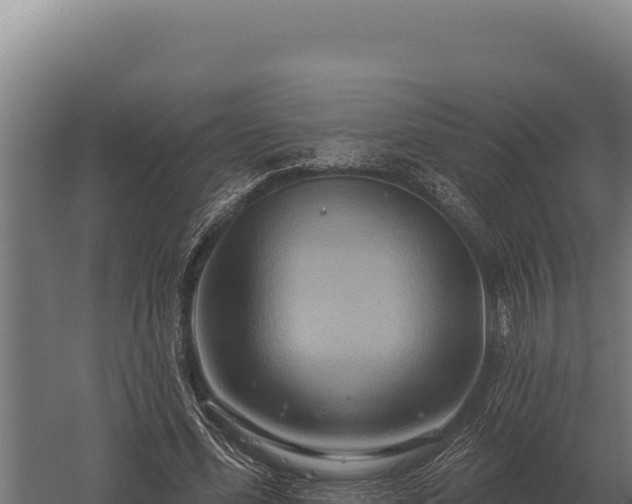 X0000059840588200510281826